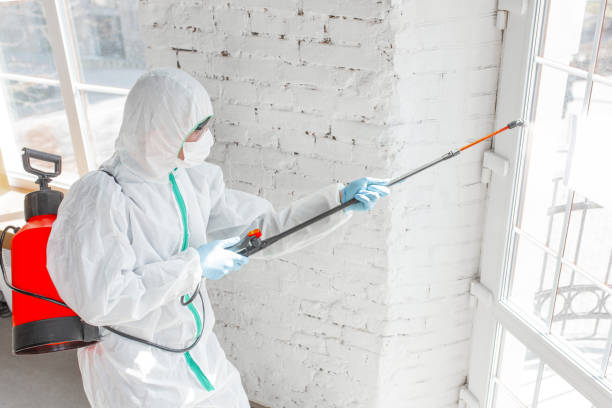  , ME Water damage restoration Pros